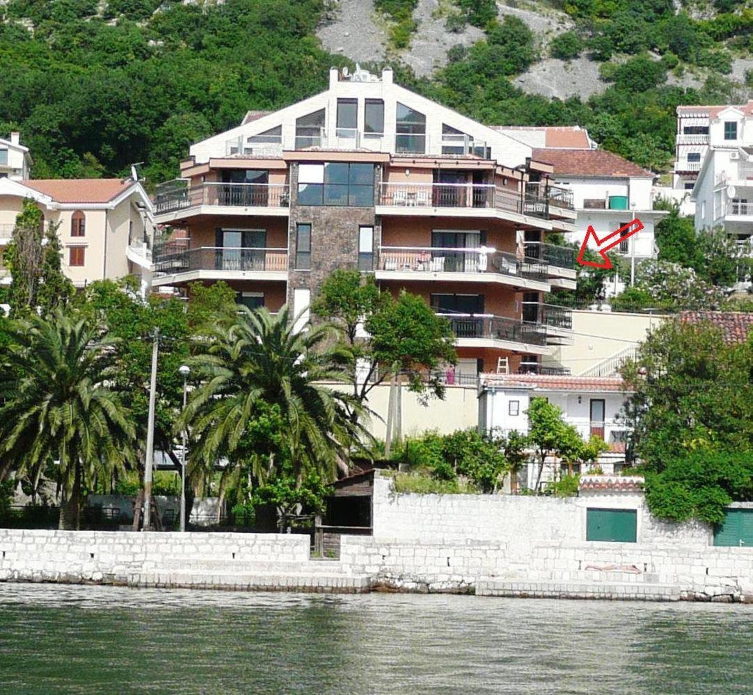 Apartments Coral Κότορ Εξωτερικό φωτογραφία